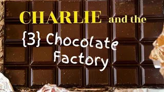 찰리와 초콜릿 공장 #3 | 영어원서 오디오북 | 텍스트와 단어 | Audiobook with Subtitles | 영어책 읽어주기 | 영어원서 | 원서읽기 | 원서는 밤톨영어 |