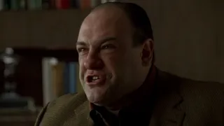 Sopranos Quote, Tony: I hate this f*cking sh*t!