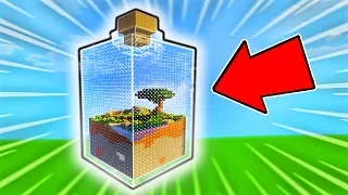 Minecraft but my world is in a jar