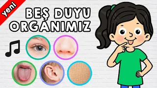 Beş Duyu Organımız Şarkısı - Beş Duyu Organımızla İlgili Etkinlikler