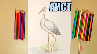 Как нарисовать АИСТА 🦢 простой рисунок из 10 элементов