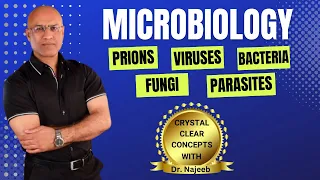 Microbiology | Prions, Viruses, Bacteria, Fungi & Parasites