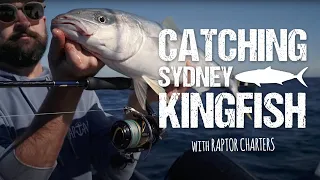Catching Sydney Kingfish with Raptor Charters