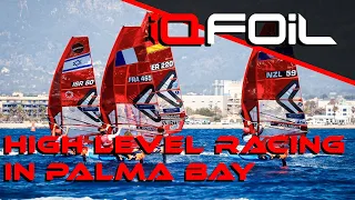 High Level Racing in Palma Bay - iQFOiL Class x Trofeo Sofía