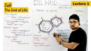 Cell wall | structure composition and Functions (plant cell wall)| Video 1