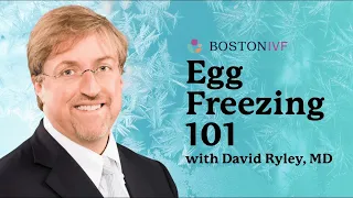 Egg Freezing 101 | Boston IVF