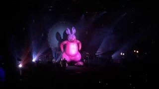 The Australian Pink Floyd Show - Frankfurt - 14-Apr2018 - One of these Days - PetziAZ