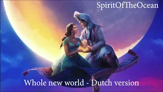 Aladdin - Whole new world [Dutch] HQ