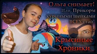 Крысы | Отварные куриные шейки, для ВСЕХ крысиных стай. (Fancy rats & Wild rats)