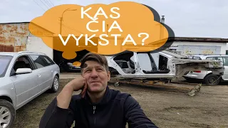 LT PiP S02E09 Kas cia vyksta ?