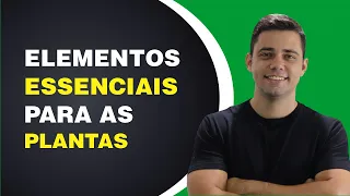 ELEMENTOS ESSENCIAIS PARA AS PLANTAS || Daniel Scotá