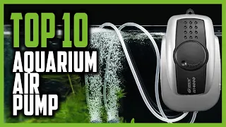 Best Aquarium Air Pump in 2024 | Top 10 Quietest Aquarium Air Pump For Multiple Tanks