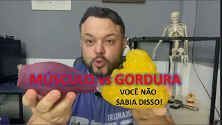 Gordura VS Músculo - quais as diferenças