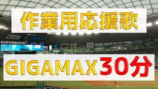 人気曲いっぱい応援歌詰め合わせ30分！（プロ野球）