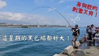 20240323~24花蓮港東堤釣遊！這星期黑巴鯧都好大!看磯釣友搏魚超爽!拉不起來的也哀哀叫!^^Taiwan Hualien fishing