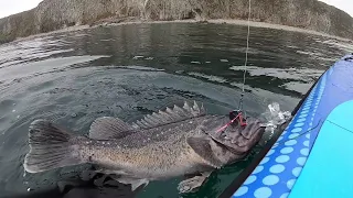 Его величество Тёмный окунь! Рыбалка с сапа осень 2022г. SUP board fishing