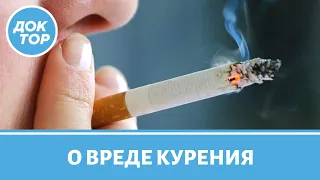 Курение: как справиться с зависимостью от сигарет?