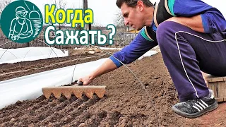 🌱 Когда сажать рассаду 🍅 Когда сеять рассаду: помидор, перца, баклажан, капусты 🌿 В парниках и без