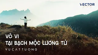 Vô Vi tại Bạch Mộc Lương Tử | Vũ Cát Tường (Visualizer)