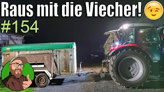 FarmVlog 154: Ferkel und Muttersauen umsetzen | Arbeitsleuchten müssen her