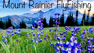 Mount Rainier National Park Fly Wild Flowers & Fly Fishing Short Film