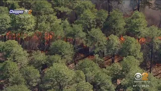 Forest fire service conducts controlled burn in New Jersey