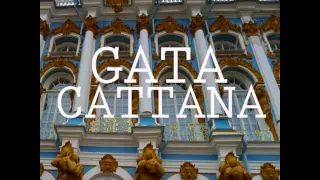 Gata Cattana - Challenge