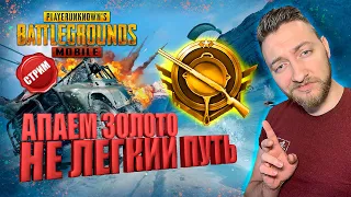 ОТ БРОНЗЫ ДО ЗОЛОТА В PUBG MOBILE / ИГРАЮ С ЛУЧШИМИ БОЙЦАМИ ЮЖНОЙ ДАКОТЫ