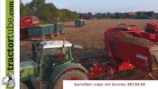 Kartoffeln roden mit 2 Grimme SE 150-60 am Niederrhein / Potato harvesting / Aardappelen oogsten