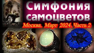 Ювелирный фестиваль "Симфония Самоцветов".  Март 2024. АМБЕР ПЛАЗА. Москва. Часть 2