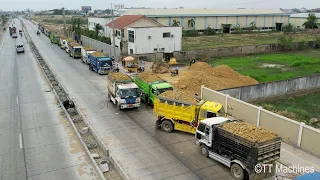 Starting New Project !! Amazing 5Ton Dump Trucks Unloading & Strong D R 51PX Bulldozer Pushing Soil