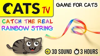 GAME FOR CATS - Real Rainbow STRING 🌈🪢 Ribbon - 3 HOURS [CATS TV]