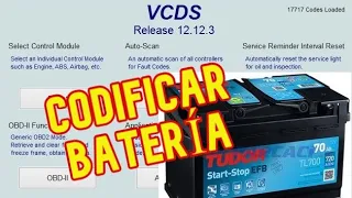 CODIFICAR BATERÍA Audi, Volkswagen, Seat y Skoda con Vag-Com, Battery coding