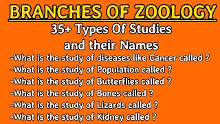 Branches Of Zoology |List Of types Of Studies And Their Names |Root Words With Logy |General Science