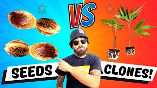 SEEDS vs CLONES? ...The truth about which is actually better! 😱