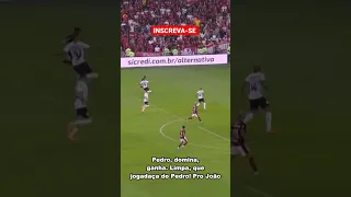 Jogadaça de Pedro! Gabriel tá perdendo gols fáceis demais não é possível... #flamengo