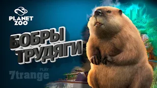 КАНАДСКИЙ БОБР S2 #8 | Planet Zoo