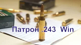 Патрон .243 Win