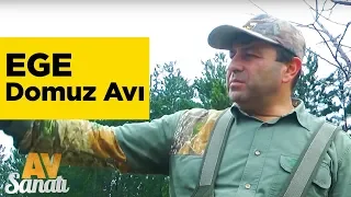 Ege Domuz Avı  Av Sanatı Yaban Tv - Wildboar Hunting Turkey  Documentary