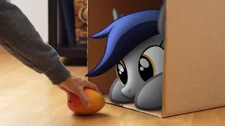 Feeding The Bat Pony (MLP in real life)