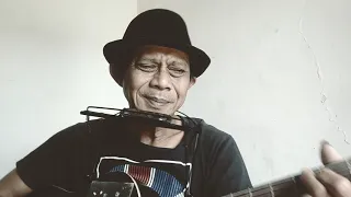 Burung kakak tua - mister harmonica