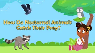 How Do Nocturnal Animals Catch Their Prey? | Animal Facts | Learn About Animals | Facts for Kids