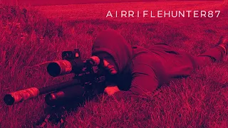 AIR RIFLE HUNTING / PEST CONTROLLING PIGEONS / FX IMPACT M3 / SLUG SHOOTING