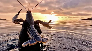 Under the Sea in Cornwall - Lobster, Crab and amazing sea creatures - Beach Cookup | The Fish Locker