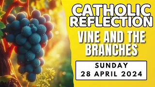 Vine and the Branches | Sunday Homily Reflection
