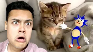 SONIC SLAPS A SLEEPING KITTEN (Reacting To Memes)