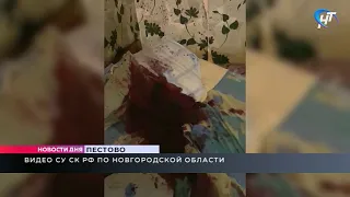 В Пестове пожилого мужчину зарубил топором собутыльник