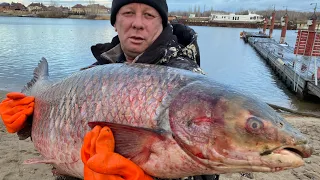 ШАШЛЫК ИЗ «ДИЧИ»‼️ОГРОМНЫЙ Белый амур на мангале🐟как приготовить рыбу✔️амур на шампурах