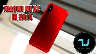 Xiaomi MI A2 in 2019? Should you still buy it? Review Android 9 Update