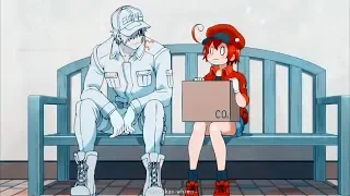 U1146 X AE3803 | Haven't Had Enough [Cells at Work AMV]